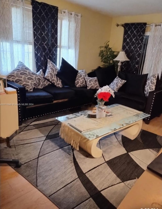 living room featuring hardwood / wood-style flooring and a healthy amount of sunlight