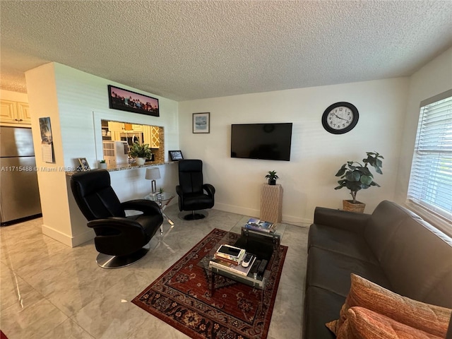 living room featuring a textured ceiling