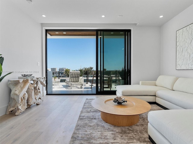 living room with hardwood / wood-style floors