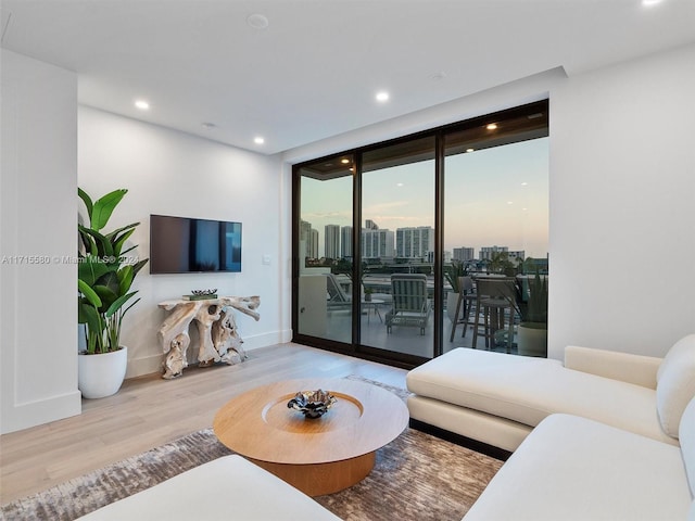 living room featuring expansive windows and light hardwood / wood-style floors