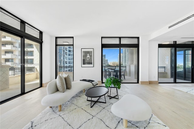 living area featuring expansive windows, wood finished floors, and a healthy amount of sunlight