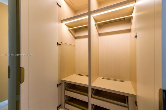 view of spacious closet