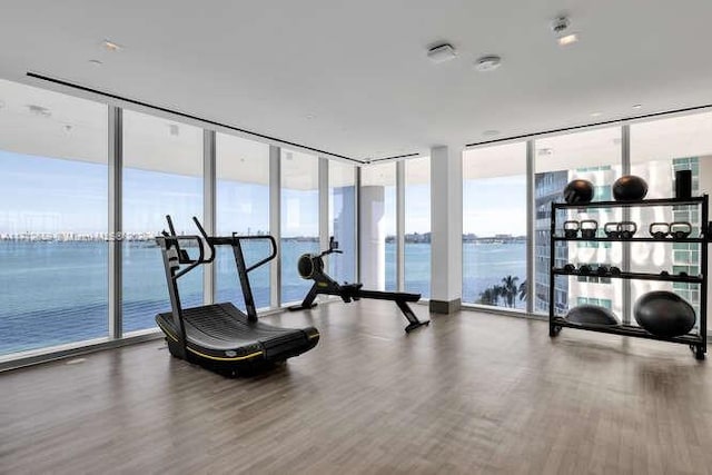 exercise room featuring hardwood / wood-style floors, expansive windows, a healthy amount of sunlight, and a water view