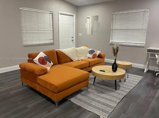 living room with dark wood-type flooring