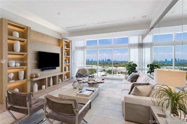 living room with built in shelves