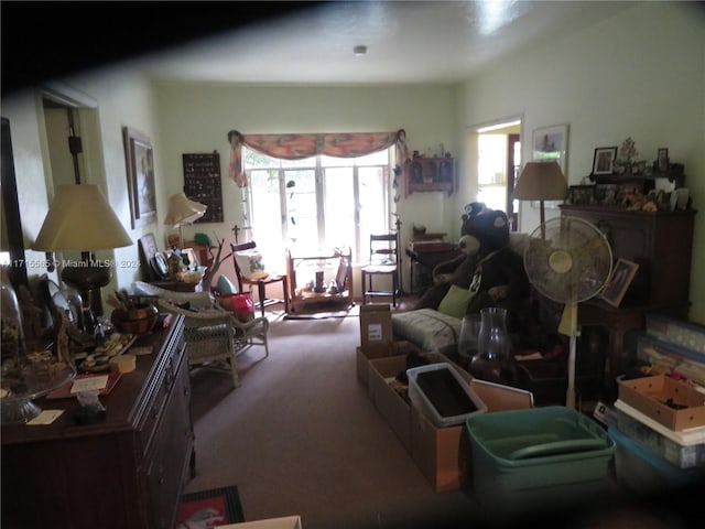 view of carpeted living room