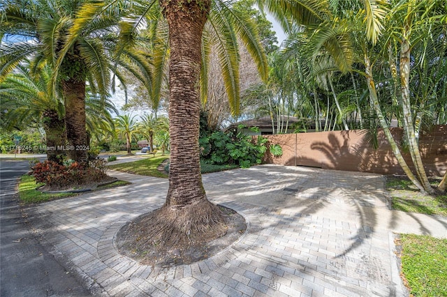 3111 N 52nd Ave, Hollywood, FL 33021 - view of patio