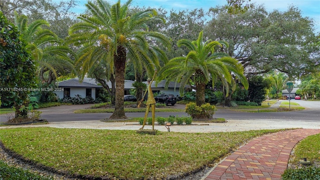 3111 N 52nd Ave, Hollywood, FL 33021 - view of yard