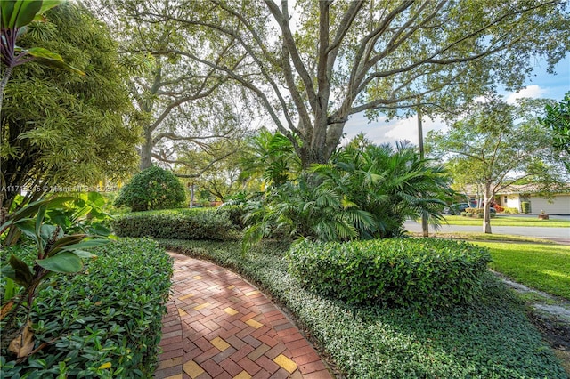 3111 N 52nd Ave, Hollywood, FL 33021 - surrounding community