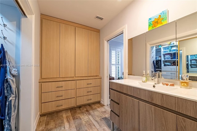 bathroom with hardwood / wood-style floors and vanity