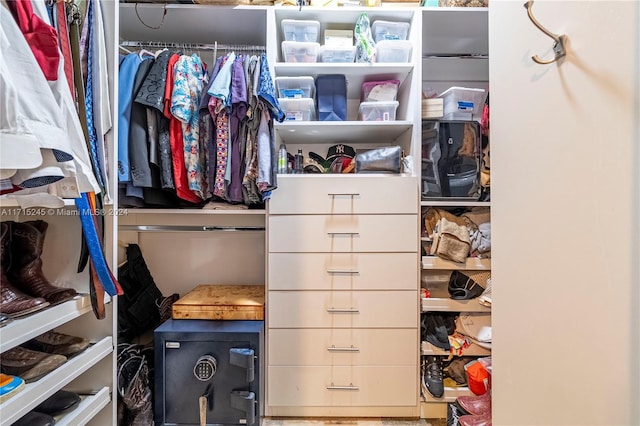 view of spacious closet