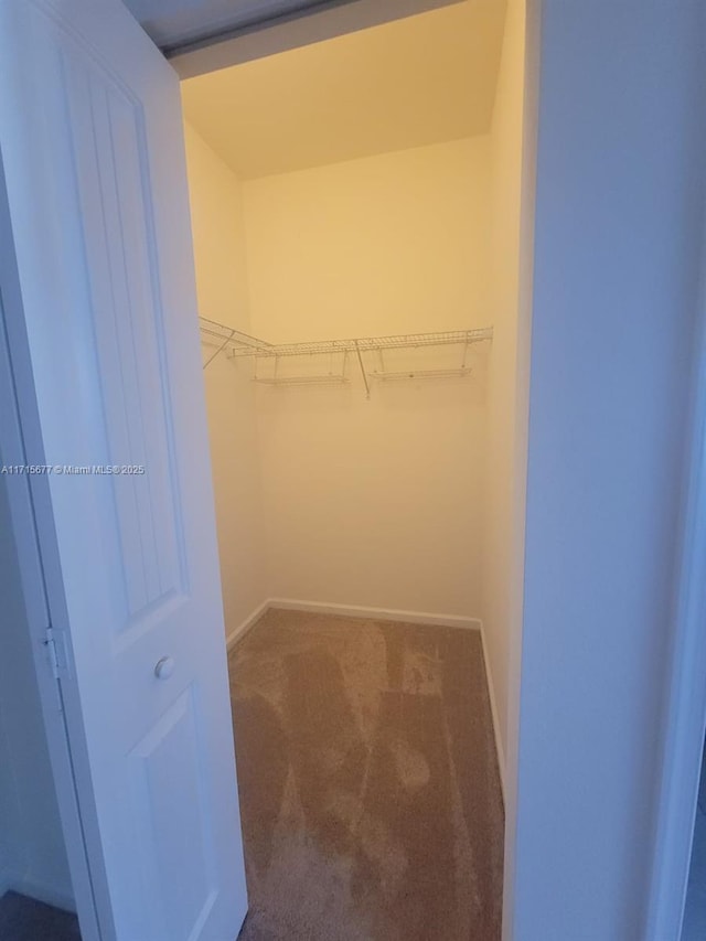 spacious closet with carpet floors