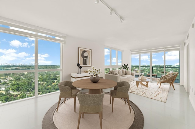 sunroom / solarium featuring a wealth of natural light and track lighting