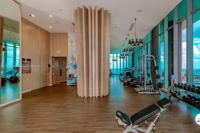 exercise room with a healthy amount of sunlight, dark hardwood / wood-style floors, and a wall of windows