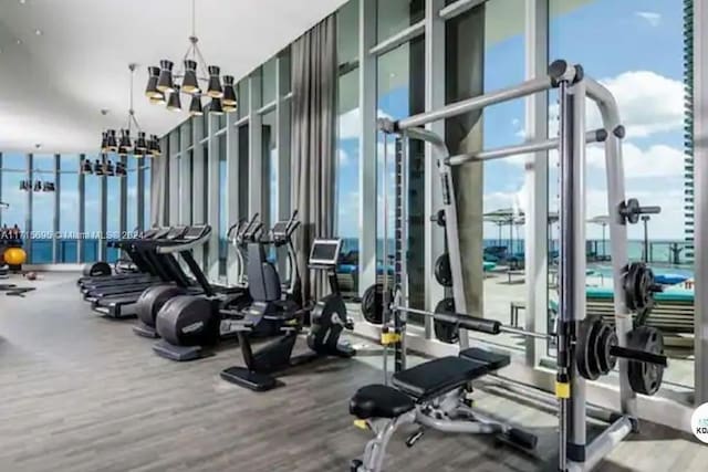 workout area featuring floor to ceiling windows, plenty of natural light, and hardwood / wood-style flooring