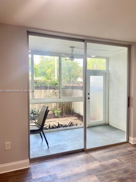 doorway featuring wood-type flooring