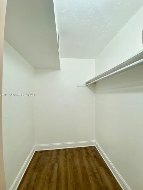 walk in closet featuring dark hardwood / wood-style flooring