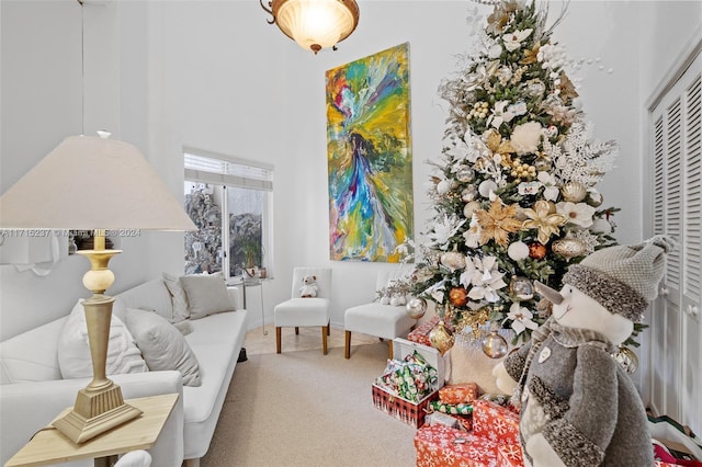 sitting room with a high ceiling and carpet floors