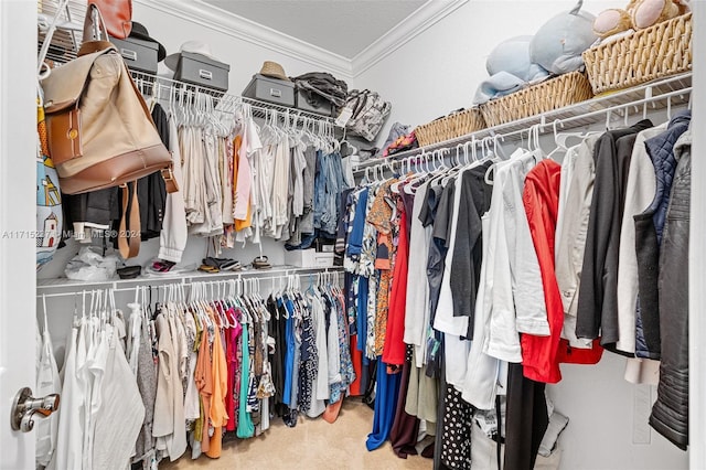 walk in closet with carpet flooring