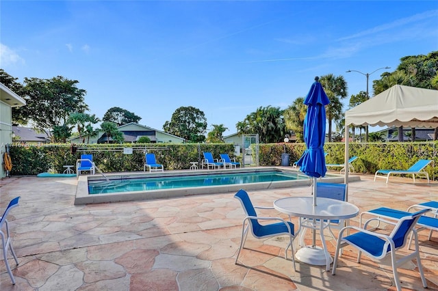 view of swimming pool with a patio