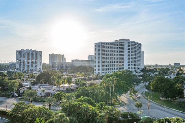 property's view of city