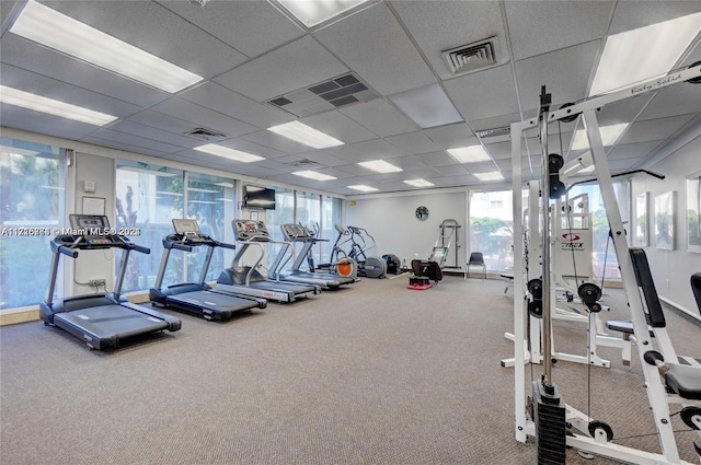 gym featuring a drop ceiling and carpet floors