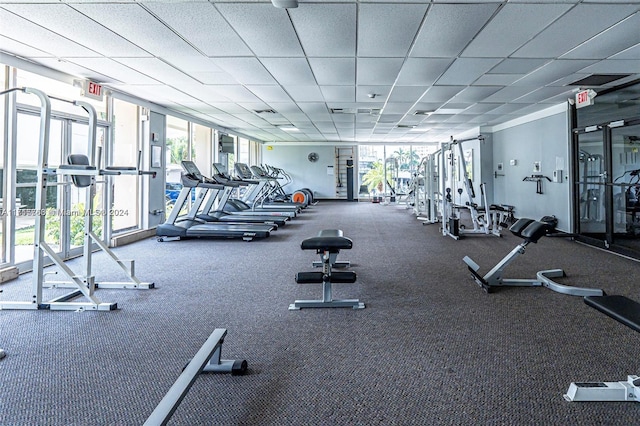 exercise room featuring a paneled ceiling, a wall of windows, and a wealth of natural light