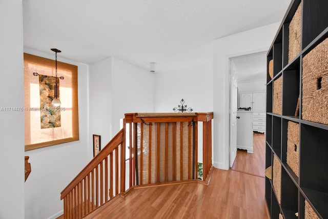 corridor with hardwood / wood-style floors