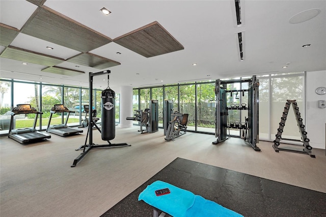 exercise room featuring expansive windows and carpet floors