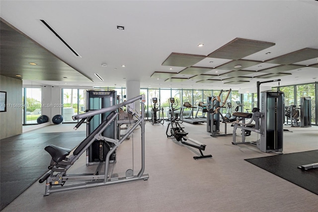 workout area with expansive windows