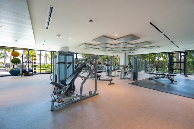 workout area featuring expansive windows and carpet