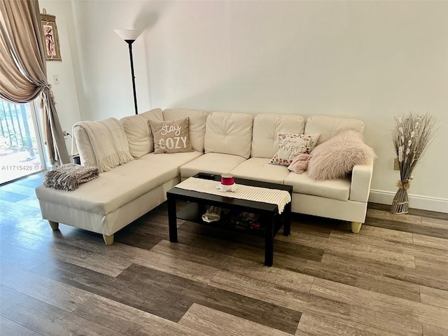 living room featuring dark hardwood / wood-style flooring