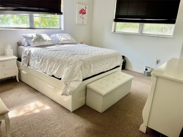 carpeted bedroom with multiple windows