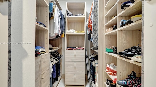 view of walk in closet