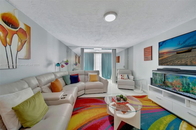 living room featuring a textured ceiling