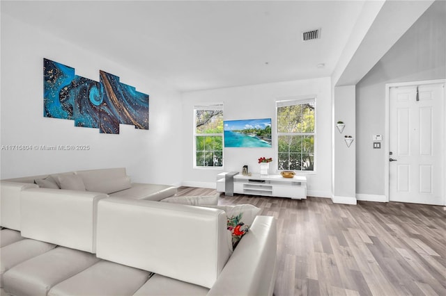 living room with hardwood / wood-style flooring