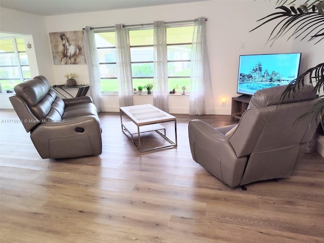 living room featuring light hardwood / wood-style floors