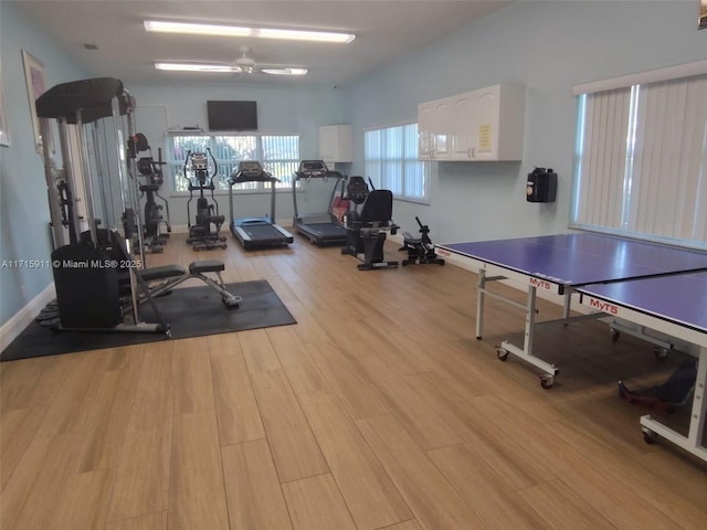 workout area with ceiling fan and light hardwood / wood-style flooring