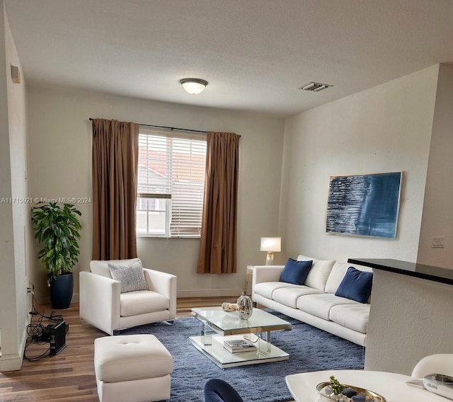 living room with hardwood / wood-style flooring