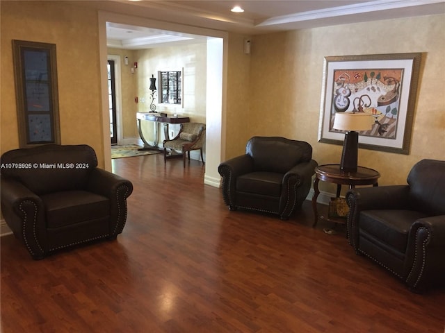 living area featuring dark hardwood / wood-style floors and a raised ceiling