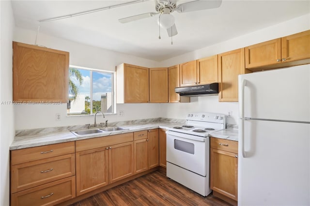 kitchen featuring white appliances, ceiling fan, dark wood-type flooring, and sink