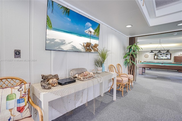 interior space with carpet and pool table