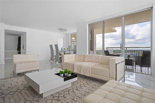 living room with expansive windows