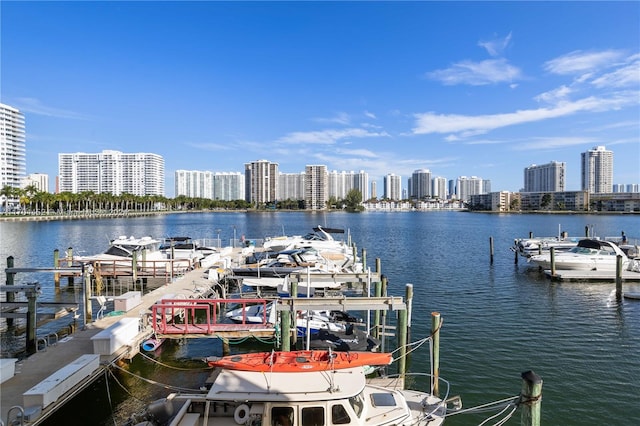 dock area with a water view