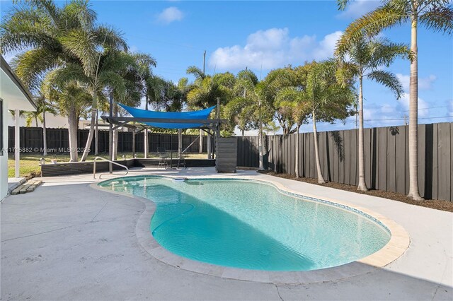 view of swimming pool with a patio area