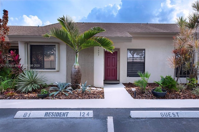 entrance to property with a shingled roof and stucco siding