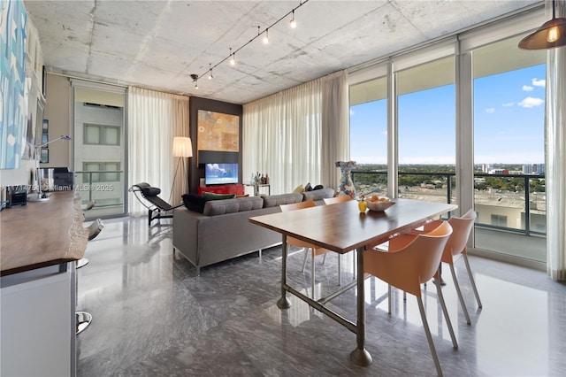 dining space with expansive windows and a wealth of natural light