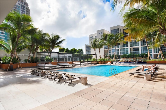 view of swimming pool featuring a patio