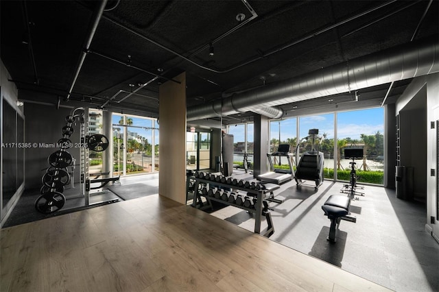 gym featuring a wall of windows and wood-type flooring