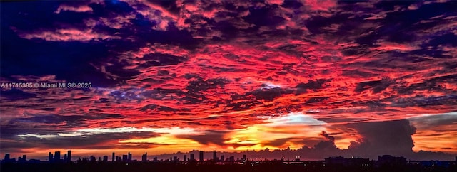 view of nature at dusk